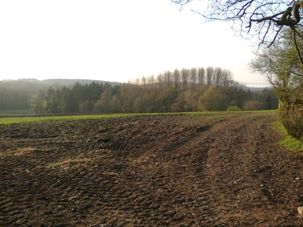 One of the views on a local dog walk.