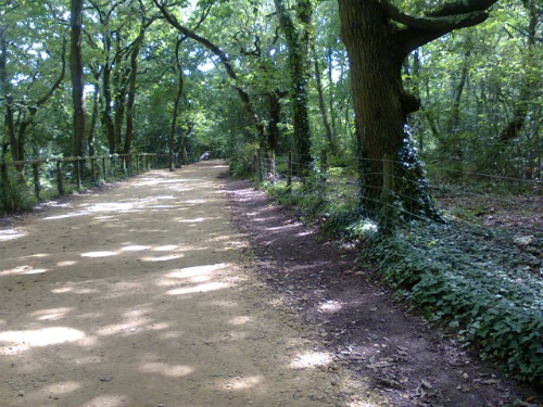 Part of the King's Great Ships Trail, the monarch being Henry V of the Battle of Agincourt fame.