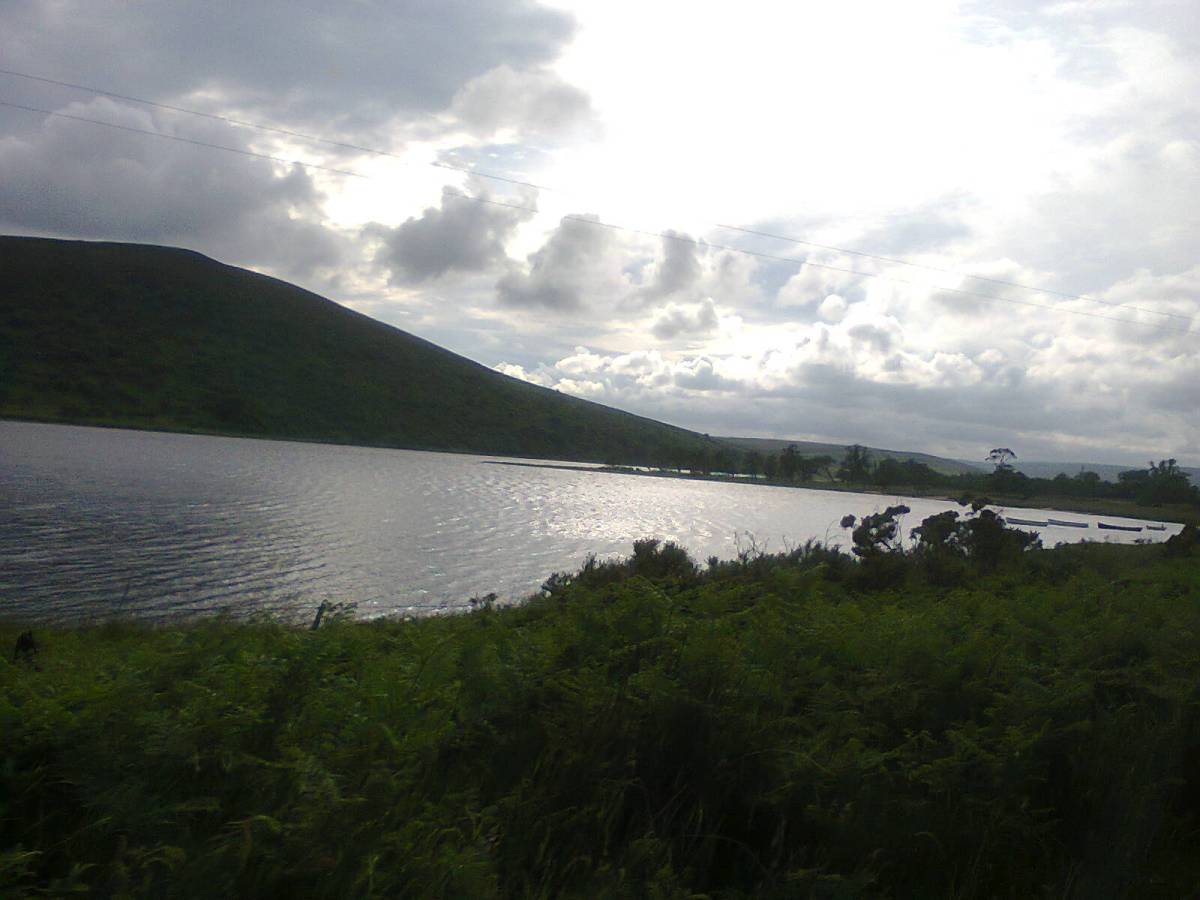 I loved the long, light evenings in the Far North of Scotland. Image by me.