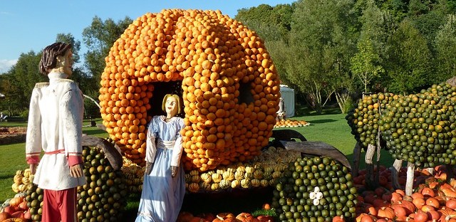 If there were such a thing as a conference for fairy godmothers, maybe one workshop would discuss how to ensure a good supply of ingredients (to definitely include pumpkins!). Image via Pixabay.