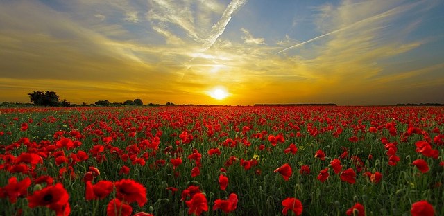 Looking into the past... Image via Pixabay