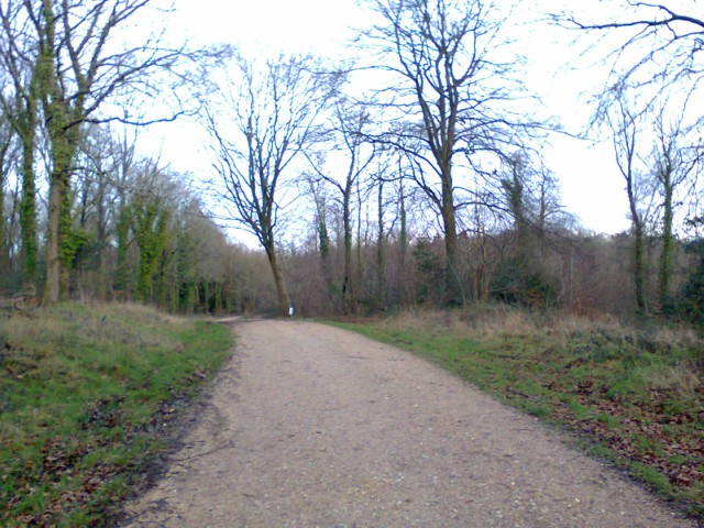 Typical of the main track at Jermyns Lane