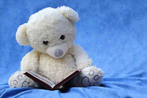 still-life-teddy-white-read.jpg