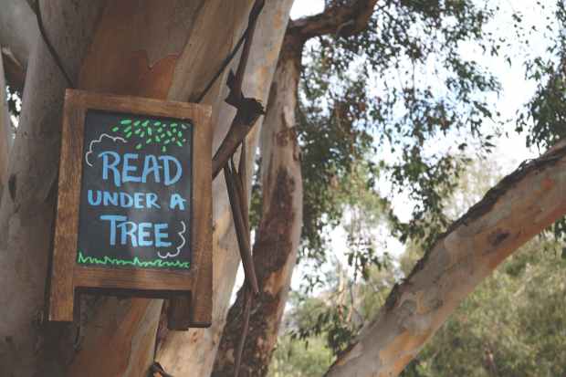 read under a tree signage hanging on branch tree