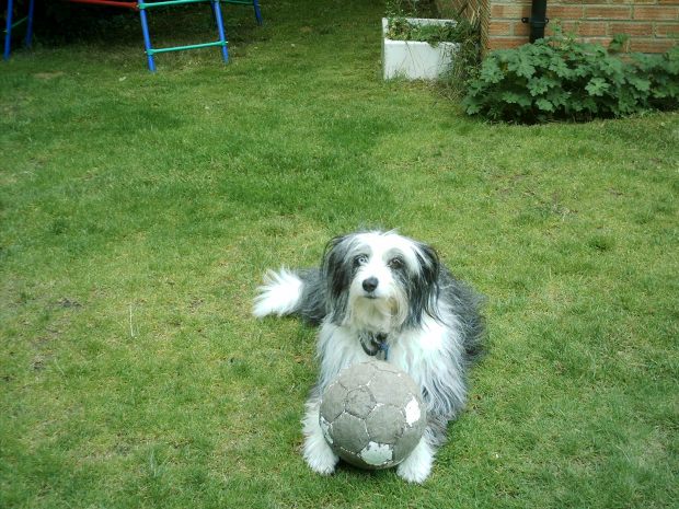 GracieathomeIMAG0001