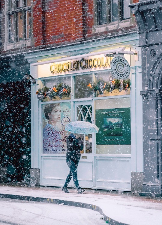 TTFF in Christmas Book Hub shop window