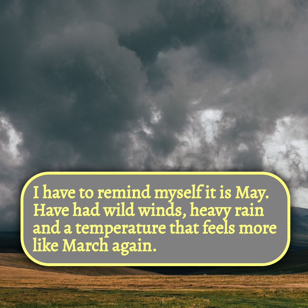 BookBrushImage-2021-5-21-17-1059