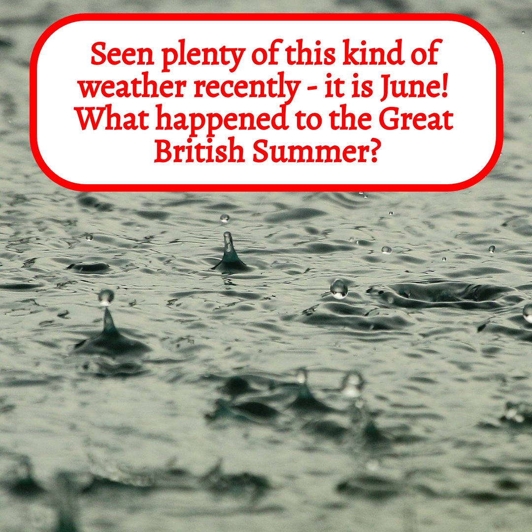 BookBrushImage-2021-6-22-20-1744