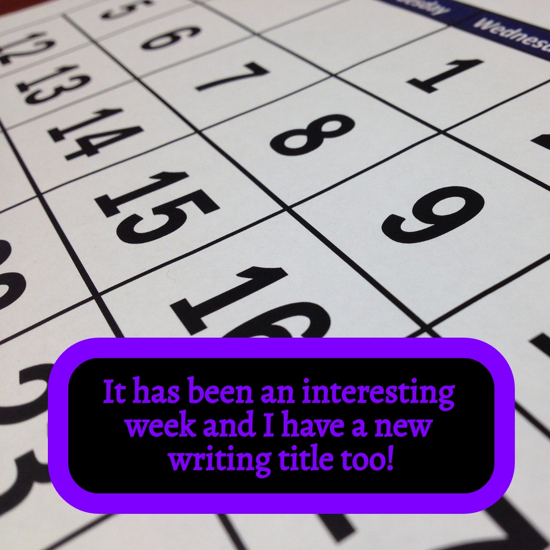 BookBrushImage-2021-6-8-20-188