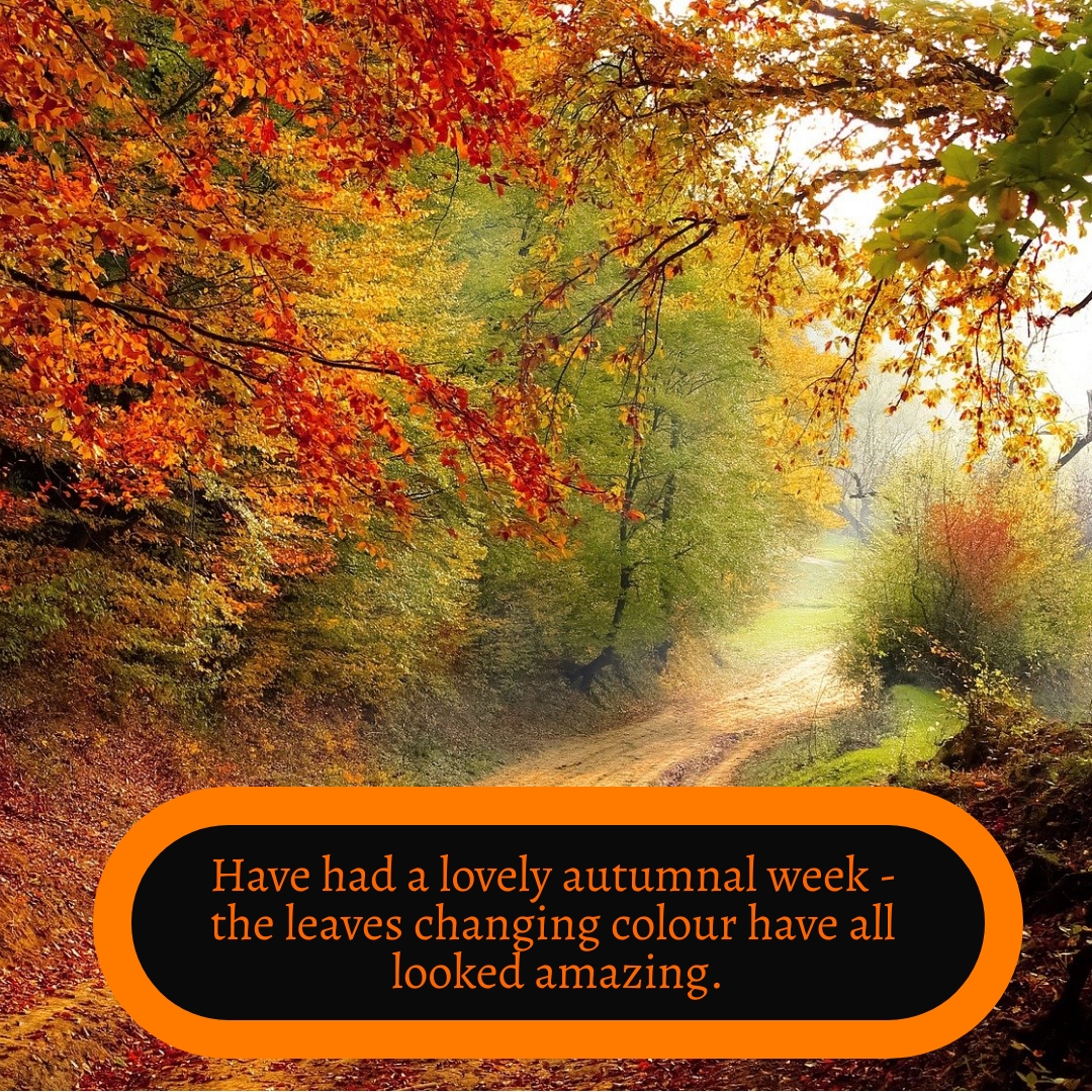 BookBrushImage-2021-9-24-19-4251