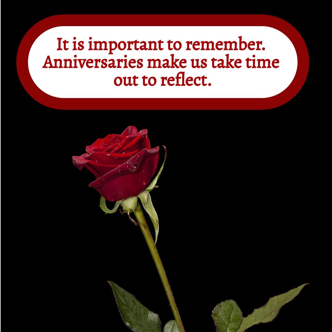 BookBrushImage-2021-9-24-20-324