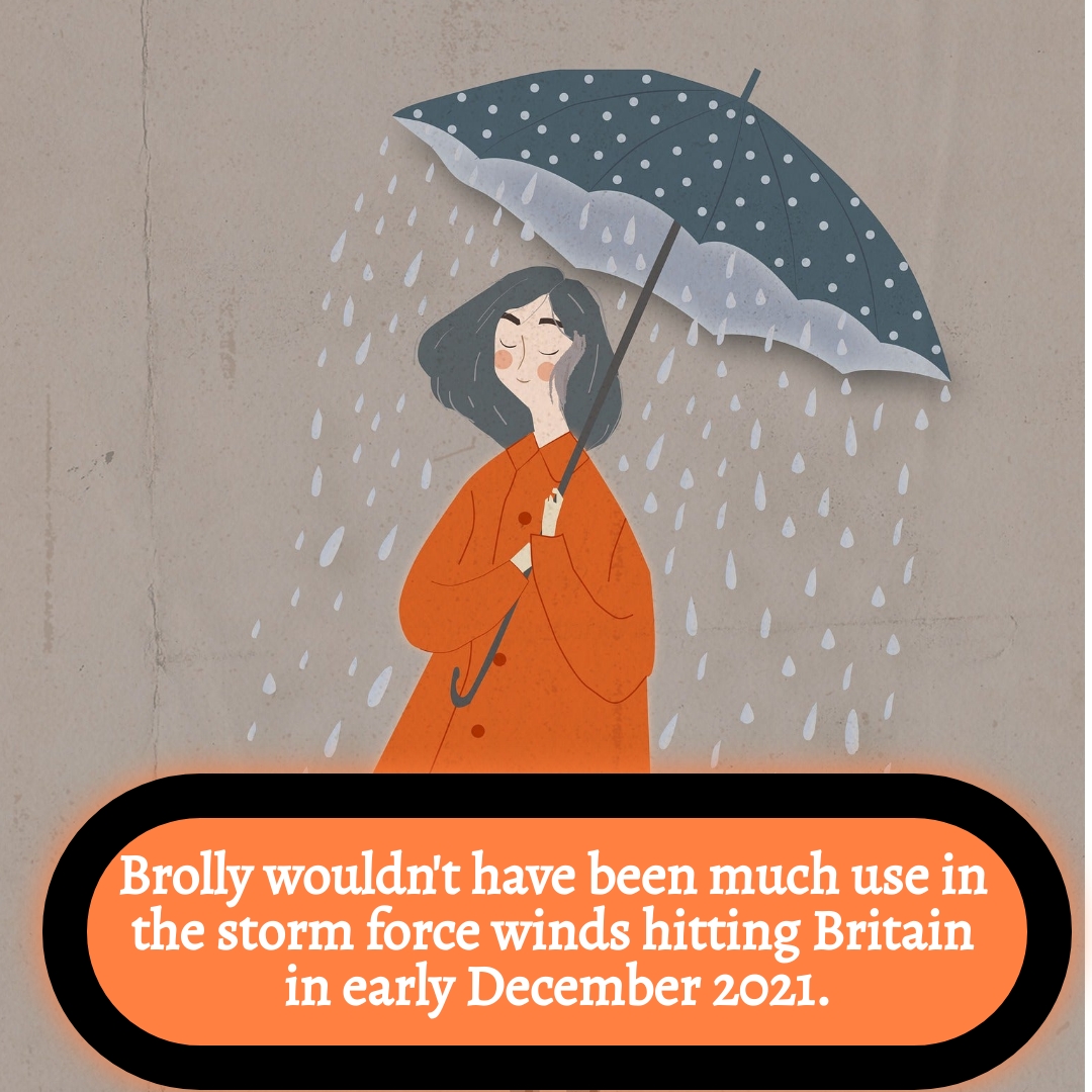 BookBrushImage-2021-12-7-20-2424