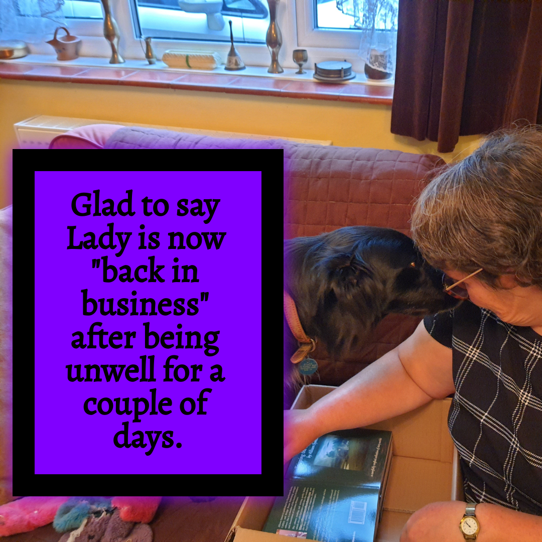 BookBrushImage-2022-1-21-19-4917