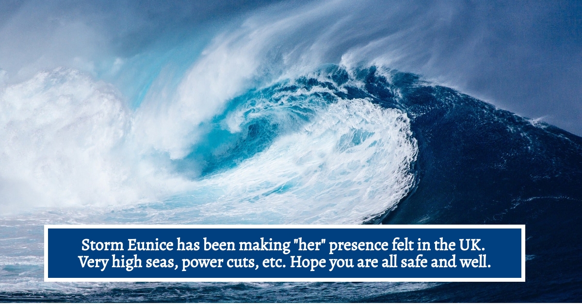 BookBrushImage-2022-2-18-20-3356