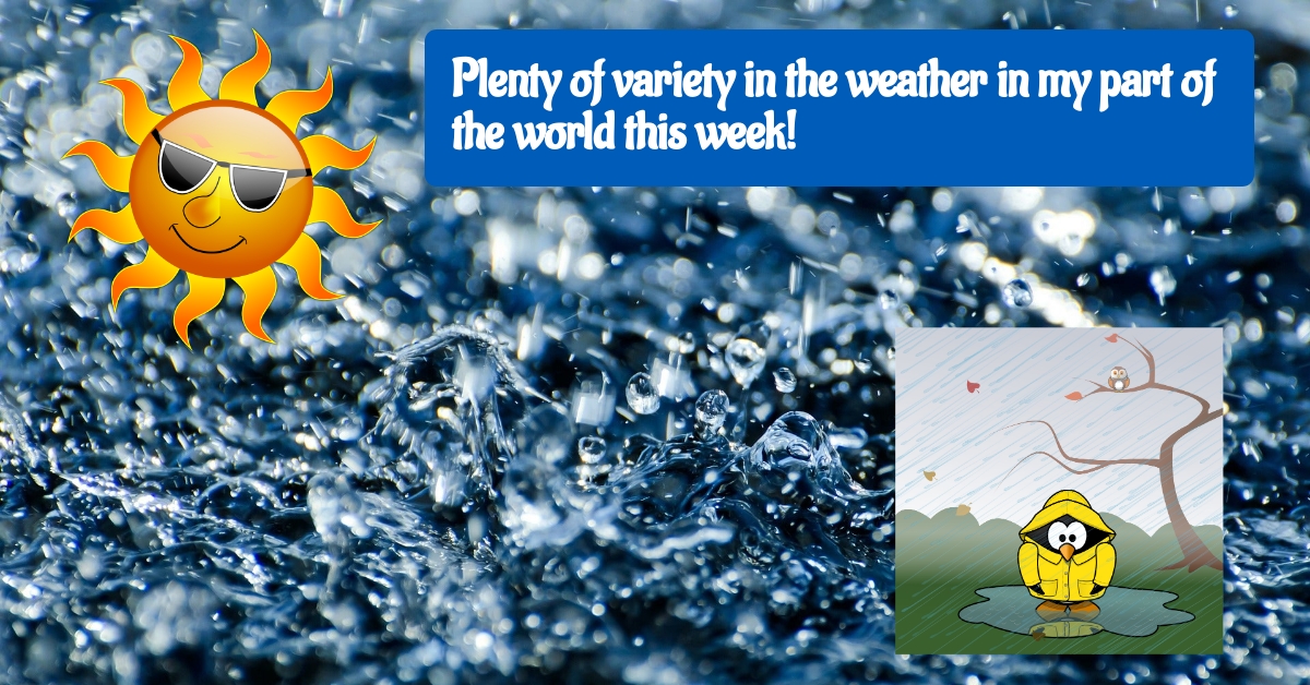 BookBrushImage-2022-7-1-19-2217