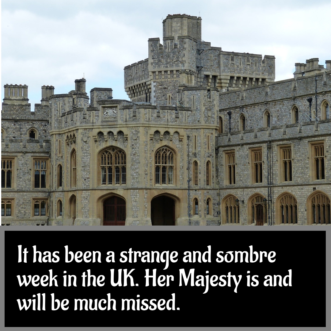 BookBrushImage-2022-9-13-20-5311