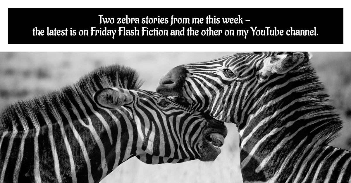 BookBrushImage-2022-10-28-19-2916