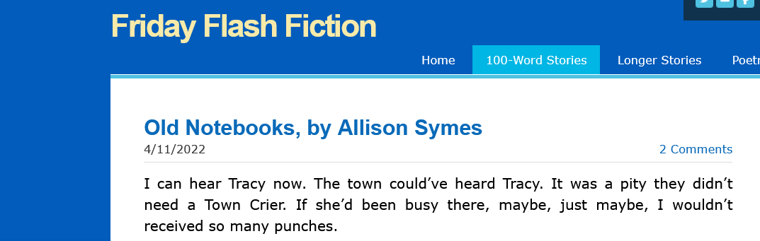 Screenshot 2022-11-04 at 09-26-35 Old Notebooks by Allison Symes