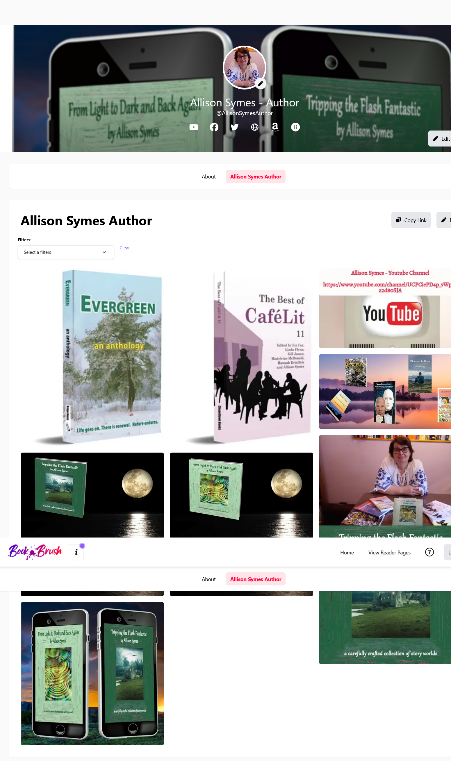 Screenshot 2022-12-16 at 21-06-33 Reader Hub Book Brush