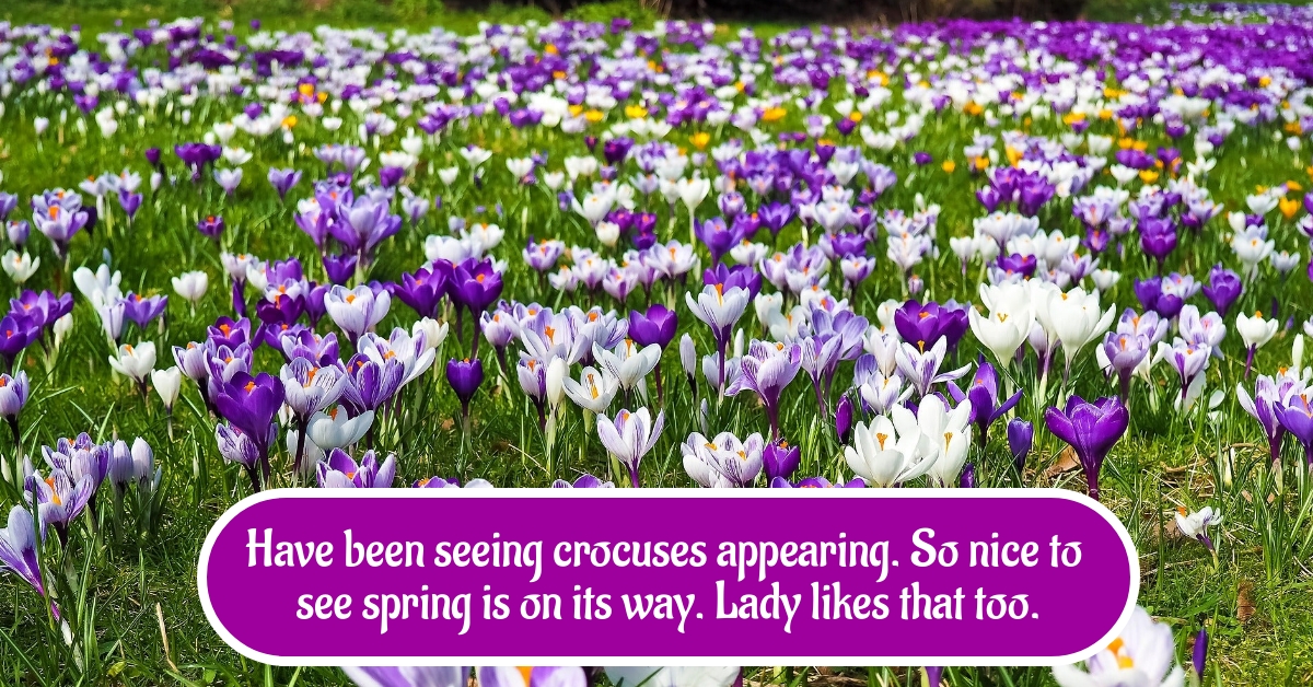 BookBrushImage-2023-2-28-20-4411