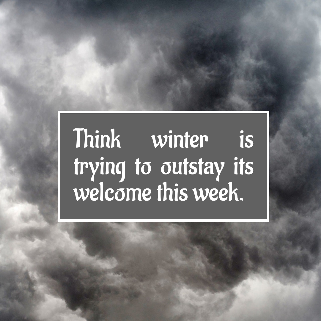 BookBrushImage-2023-4-13-20-2827