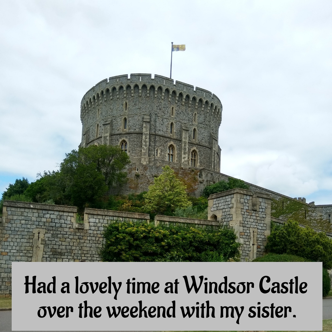 BookBrushImage-2023-6-27-16-3812