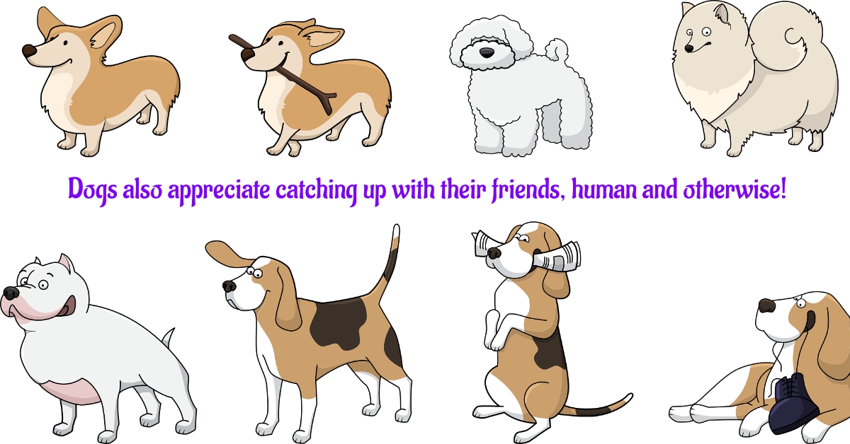 BookBrushImage-2023-7-11-20-4747