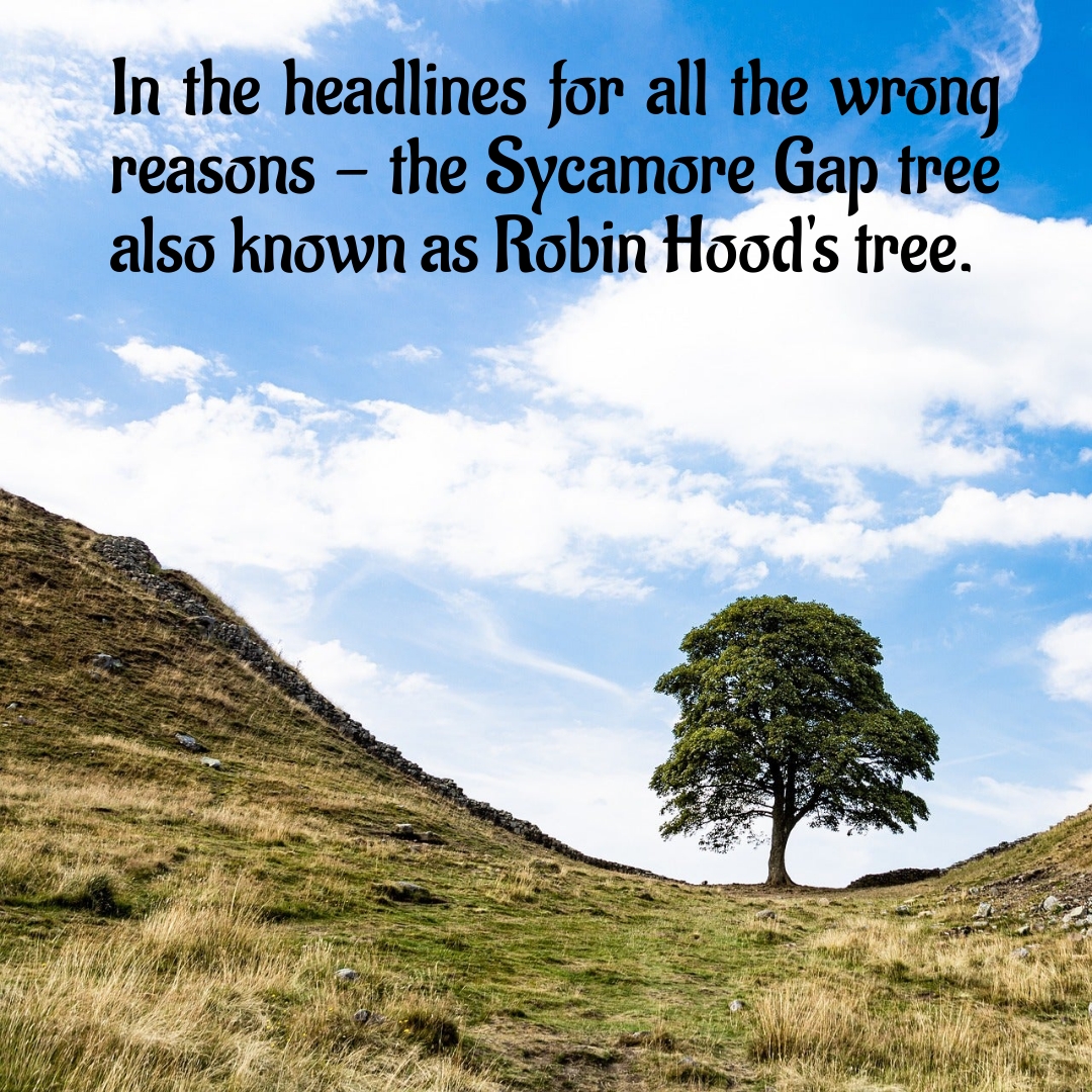 BookBrushImage-2023-9-29-19-3228