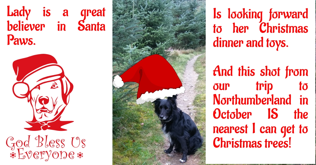 BookBrushImage-2023-12-15-17-126