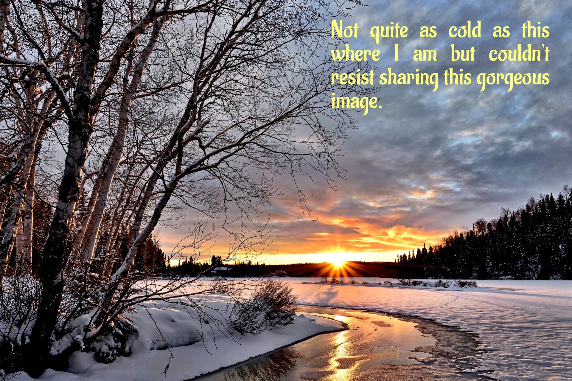 BookBrushImage-2024-1-19-19-2612