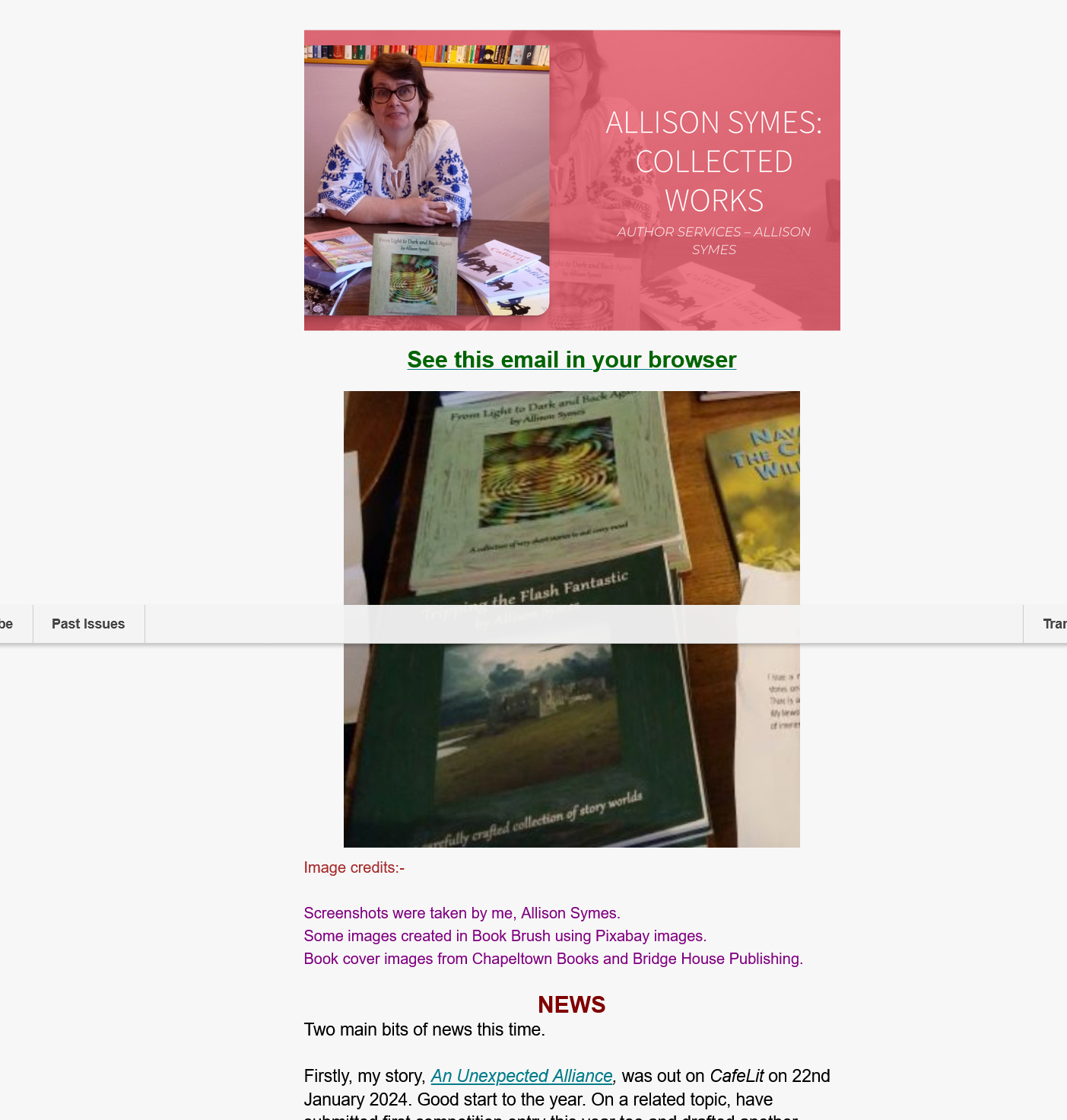 Screenshot 2024-02-01 at 17-32-50 Allison Symes - February 2024 - Leaping Into Flash