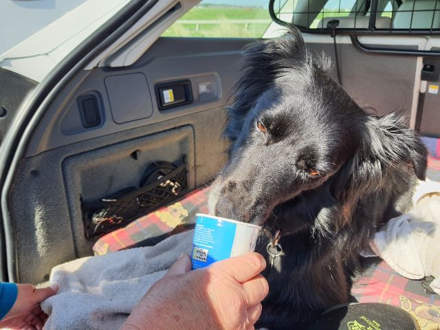 Lady having her first icecream at Dunnet