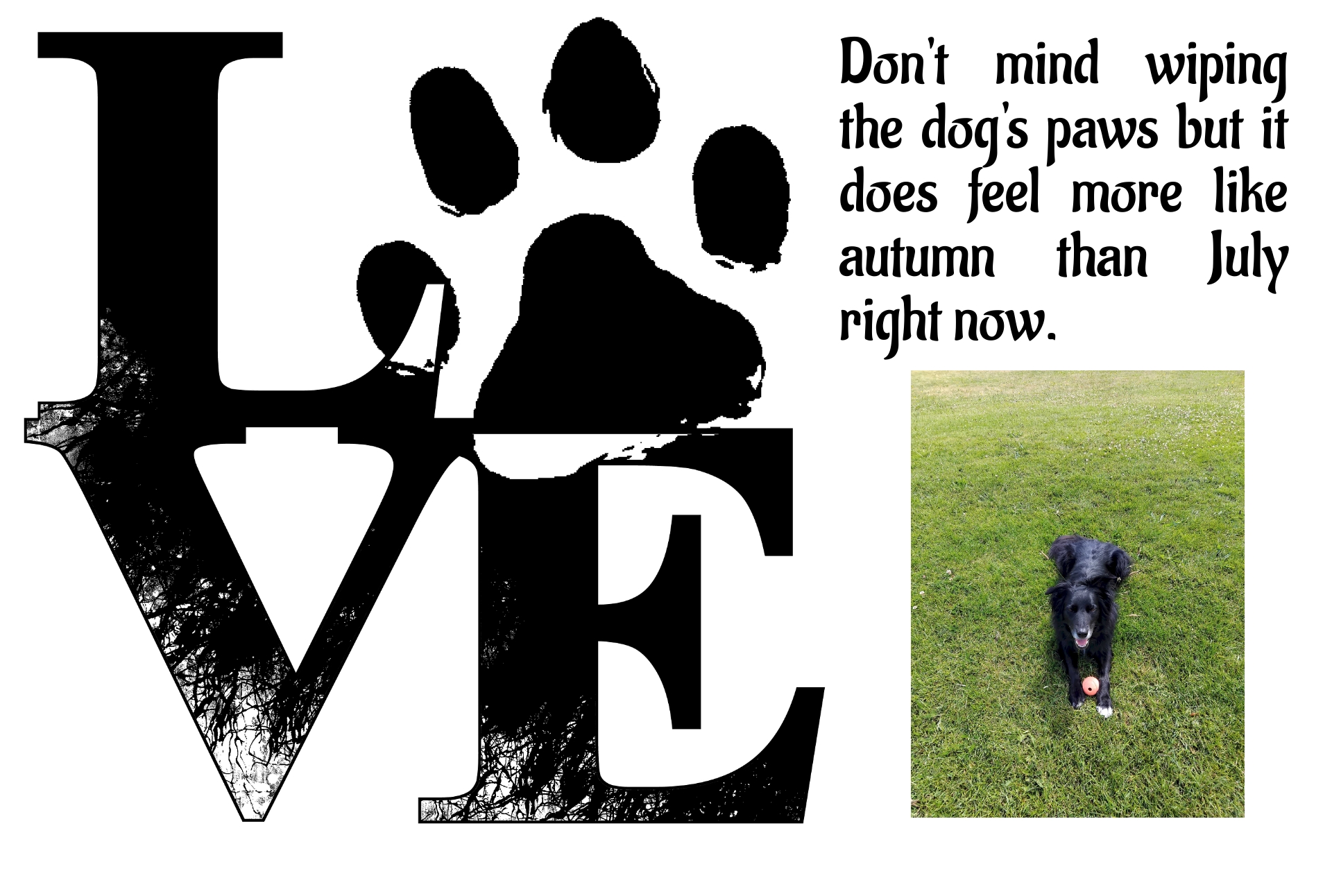 BookBrushImage-2024-7-9-19-5735