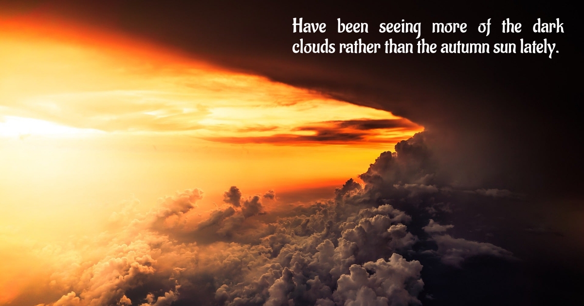 BookBrushImage-2024-9-23-20-1749