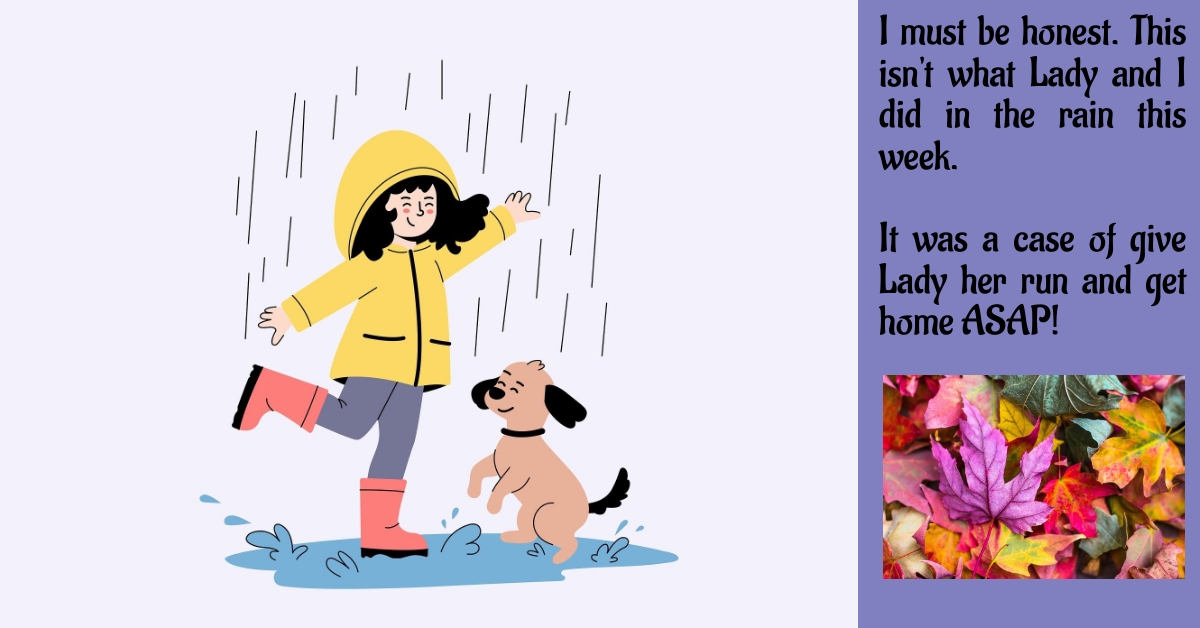 BookBrushImage-2024-9-6-19-2444