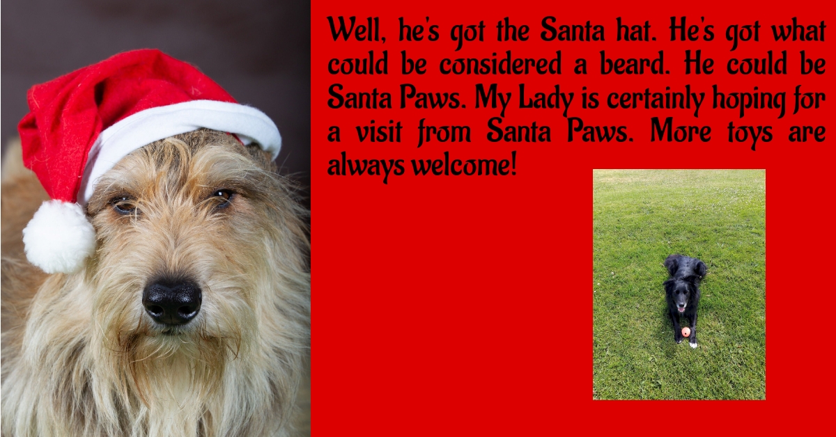 BookBrushImage-2024-12-20-19-4846